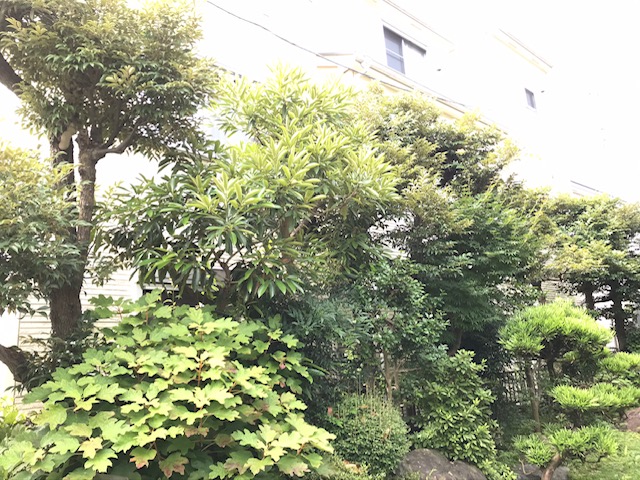K様高津区施工前@ K様高津区施工前@