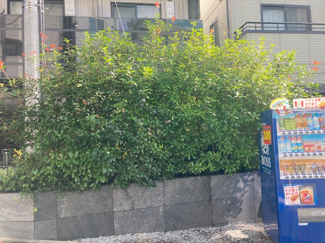K社施工前 K社施工前