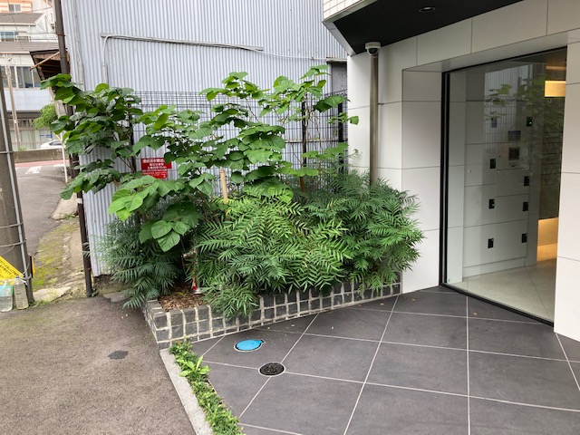 K社施工前A K社施工前A