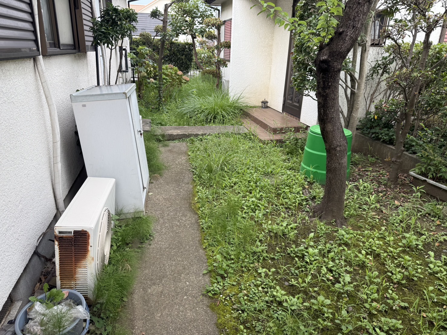 シンリョウ シンリョウ