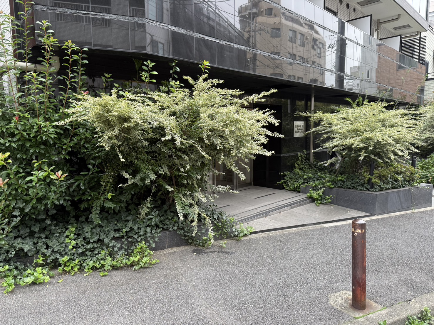 アパ アパ