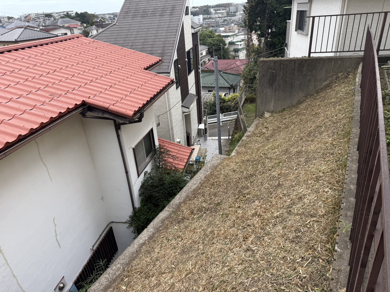 くさ くさ
