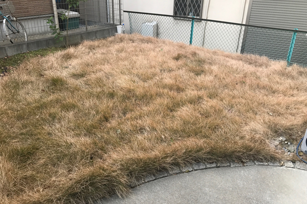 芝刈 草刈 横浜の植木屋 初音ガーデン